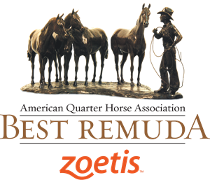 BestRemuda logo ZoetisA.ashx