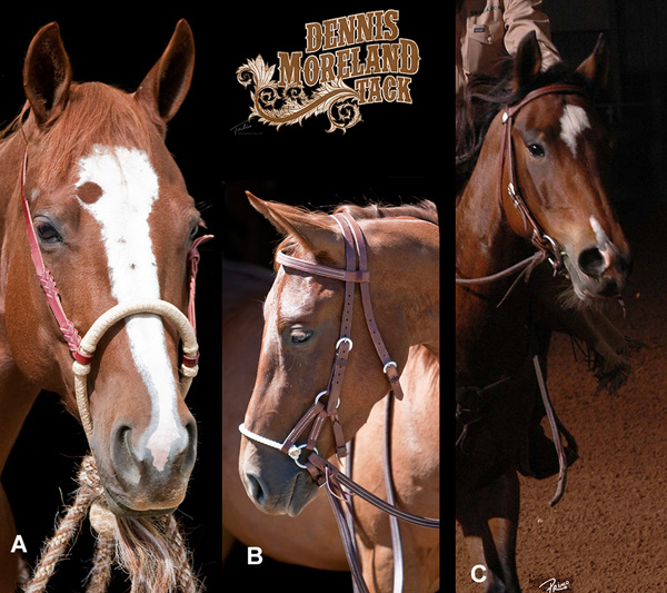 O Rings, Eggbutts, Offset Ds: Which 1 Is Right For Me? - Quarter Horse News
