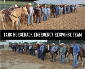 Texas Animal Health Commission Awarded Outstanding Achievement Award for  Horseback Team - Quarter Horse News
