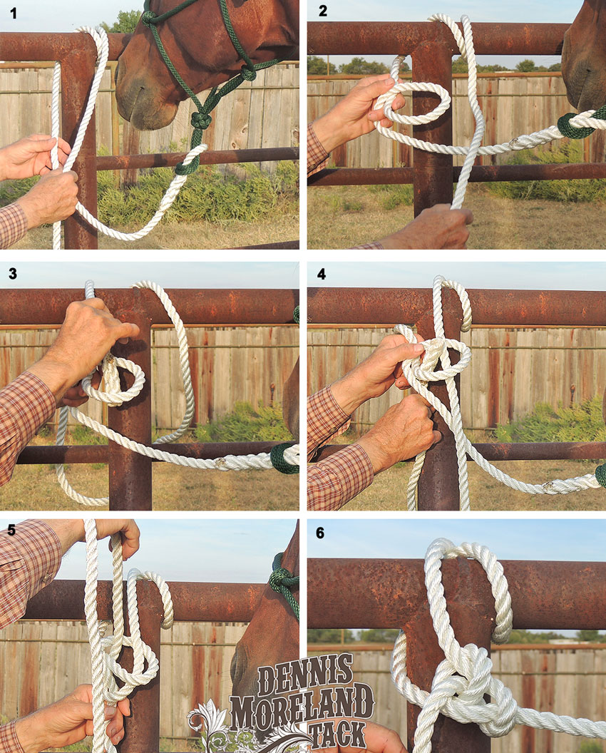 How To Safely Tie A Horse Using A Bowline Knot - Quarter Horse News