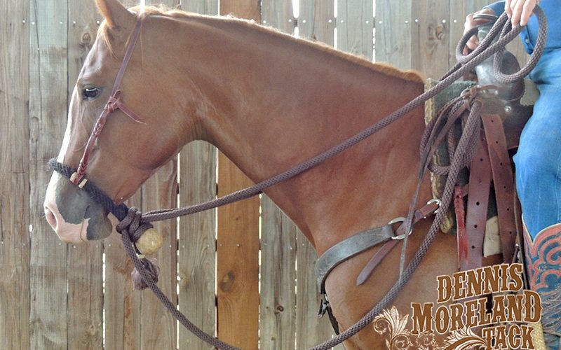 What You Need to Know About the Mecate - Quarter Horse News