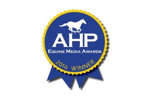 AHP award winner logo
