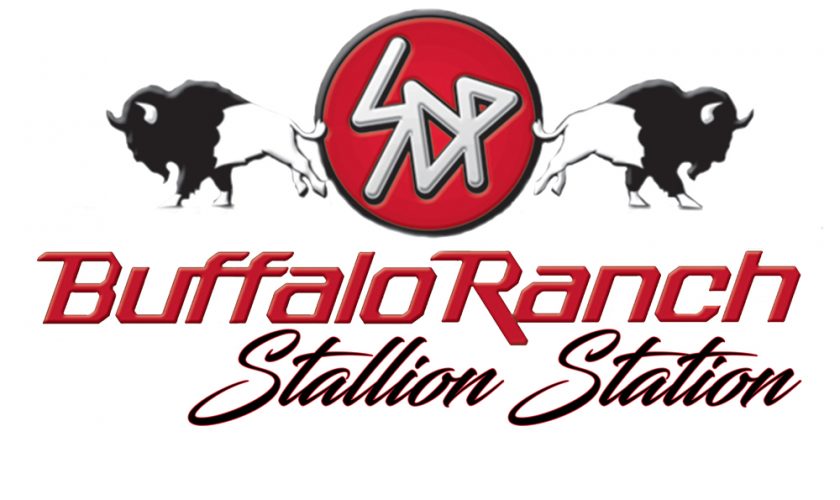 SDP Buffalo Ranch logo
