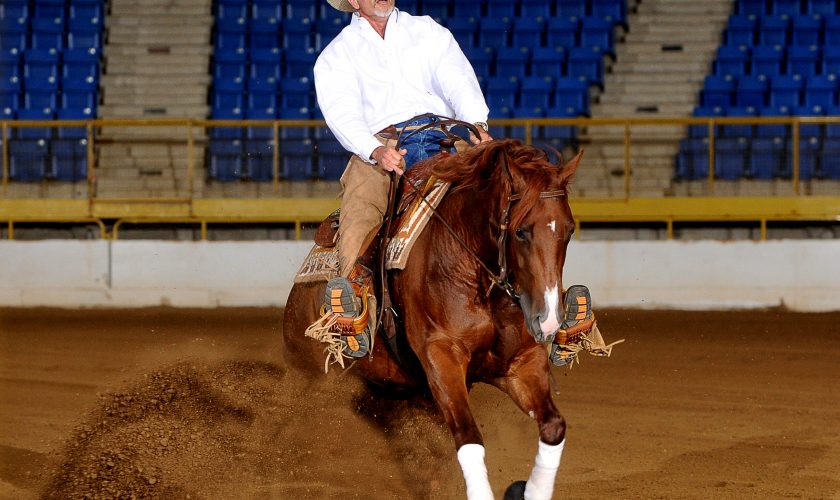Wesley Brown reining horse