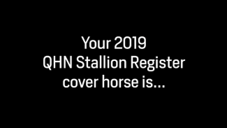 2019 QHN Stallion Register Cover Horse