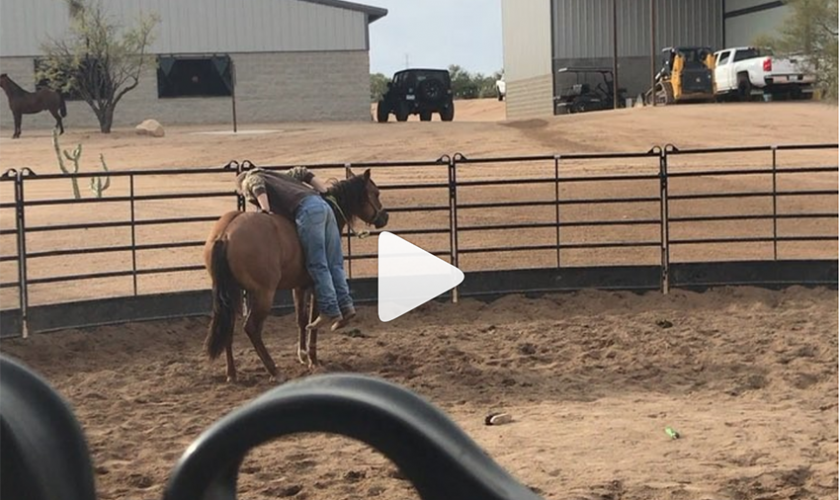 Craig Schmersal reining horses