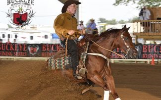 Spookgotgunsintown, with Dean Brown aboard, shows at the Buckeye Reining Series in August 2019.