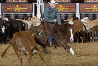 Slate River Ranch mare named Pet Squirrel competing in the cutting pen