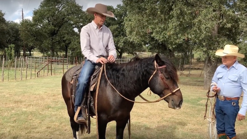 nate eicher demonstrating how to operate a grass hackamore with reins