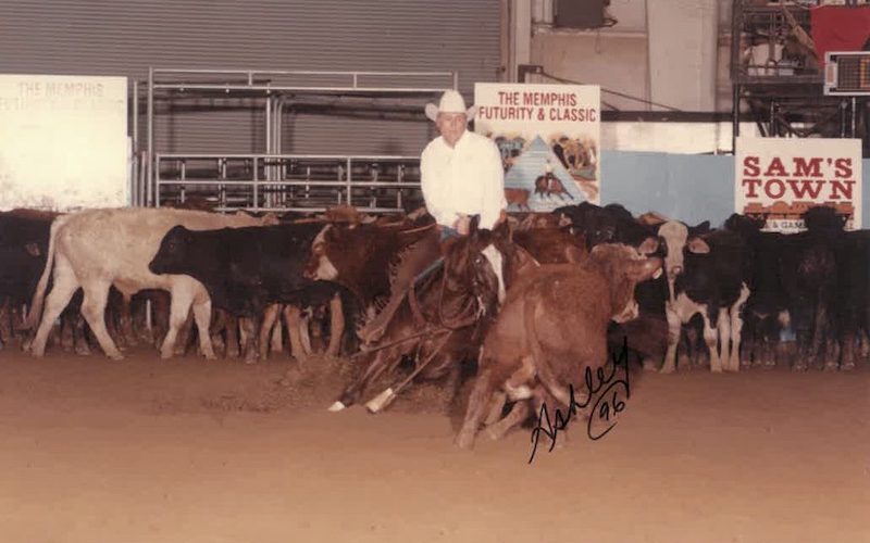 Olena Dually and Charles Spence work a cow in Memphis, Tennessee