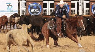ncha-summer-spectacular-co-champion-caution-piping-hot