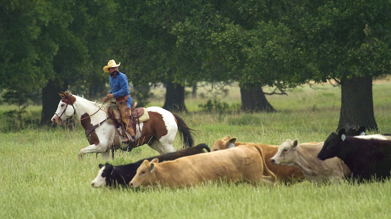 For Finis Welch, Center Ranch was the meaningful distance between life’s dreams and life’s reality.