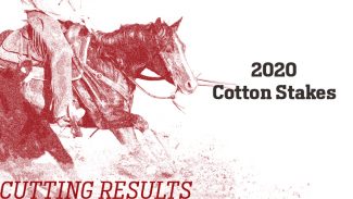cotton-stakes-results