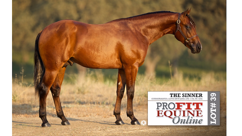 profit-equine-online-sales-topper-the-sinner