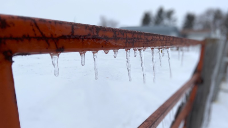 icicles-on-fence