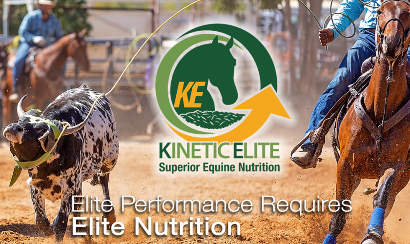 Kinetic Elite logo Team roping