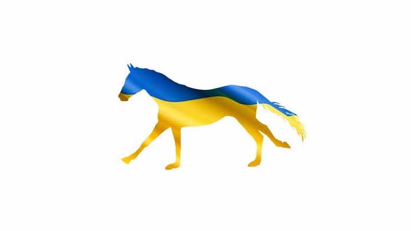 ukraine-horse
