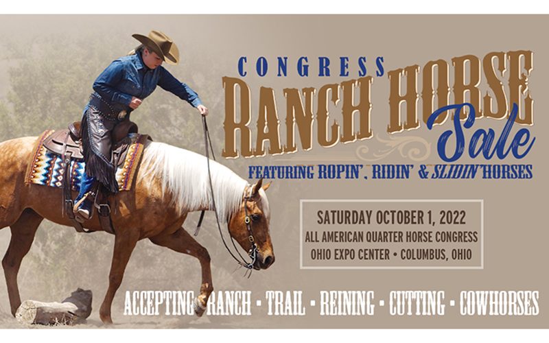 Ranch Horse Sale