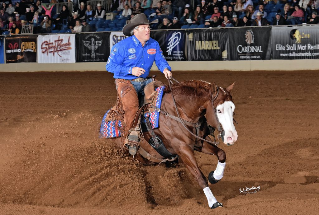 Down Right Amazing Continues to Impress in NRBC - Quarter Horse News