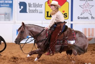 Non-Pro-Champion-NCHA-Derby-Summer-Spectacular