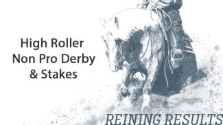 High-roller-reining-non-pro-derby