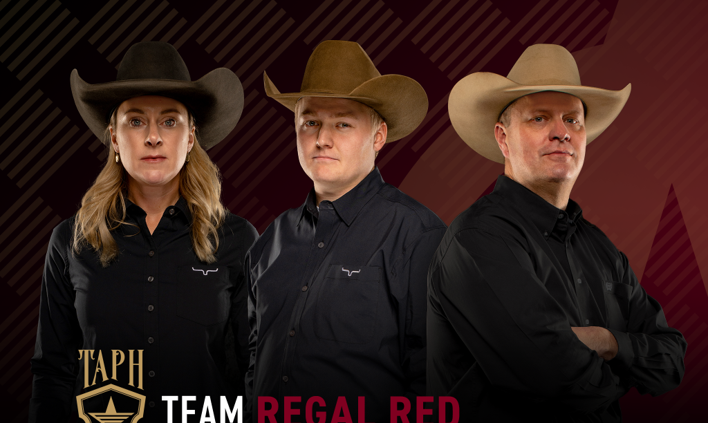 Team Regal Red: Who Will They Ride for The American Performance Horseman 2024?